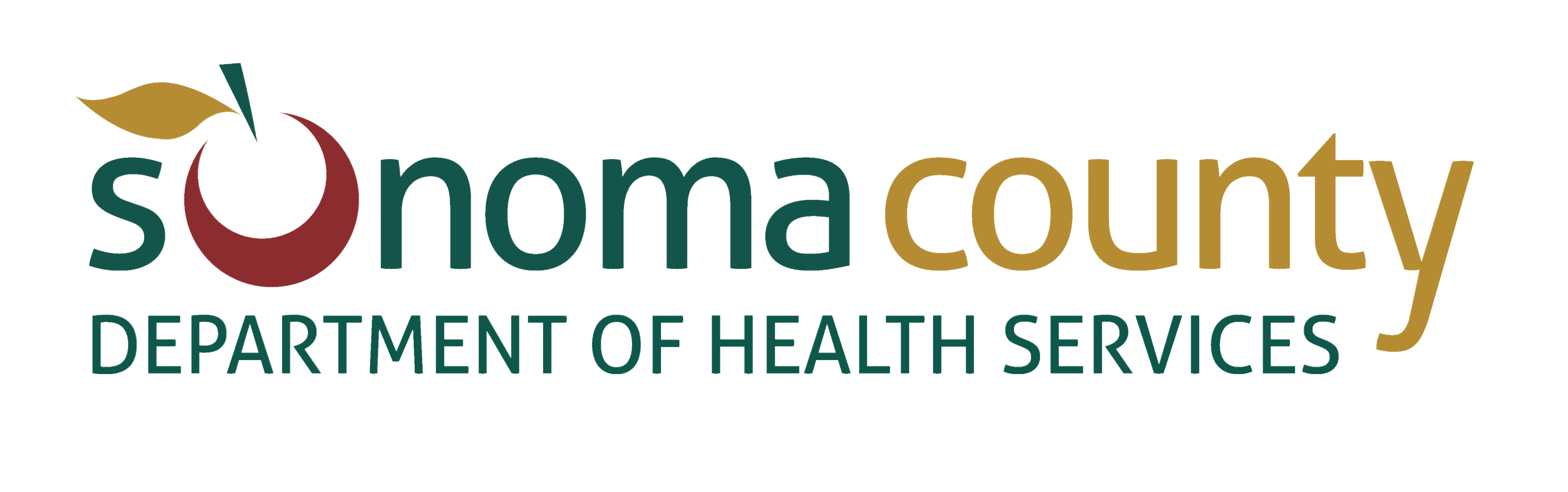 DHS Logo Transparent Background.png